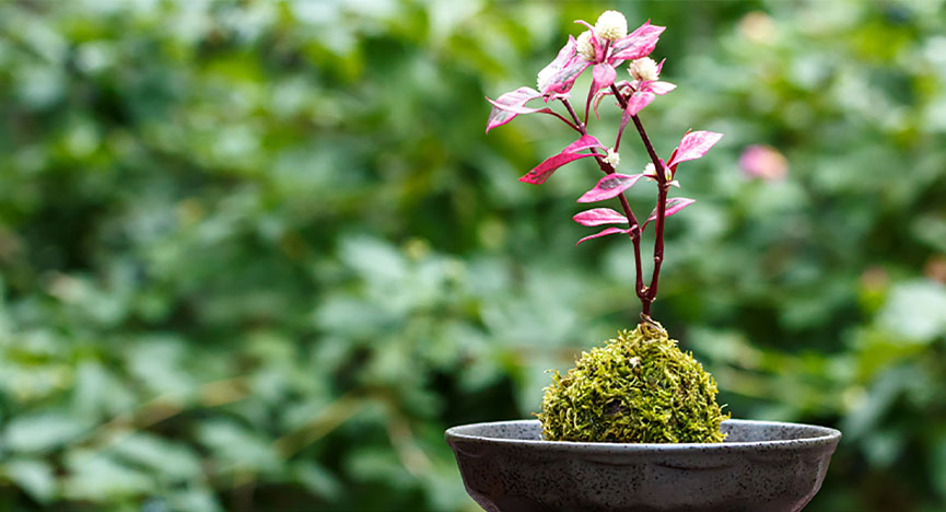 マーケティング